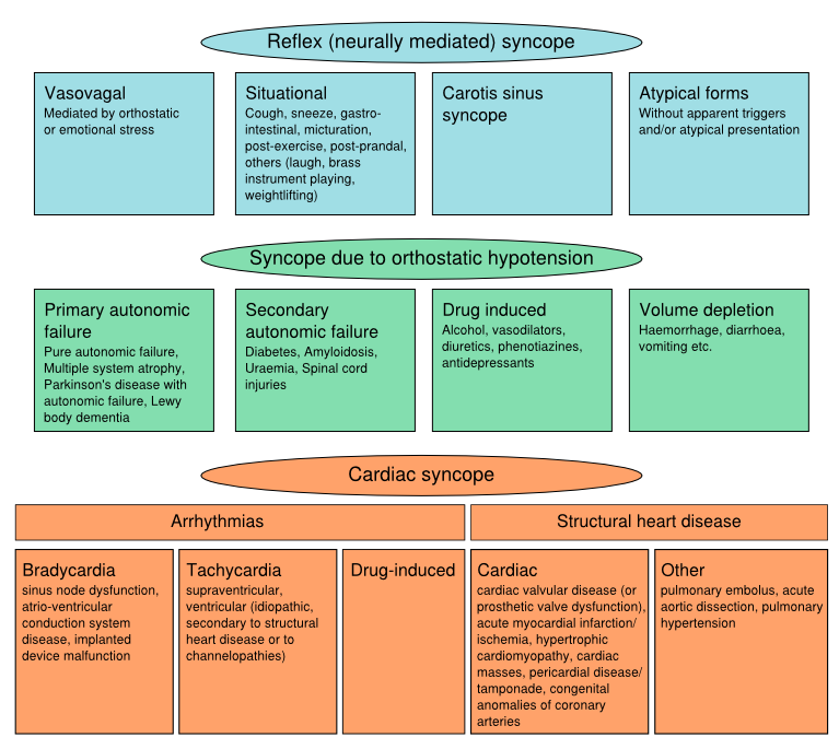 Syncope class.svg